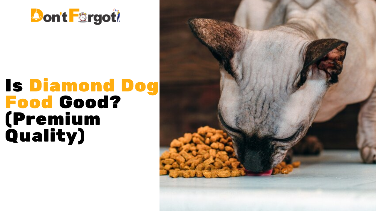 Is Diamond Dog Food Good