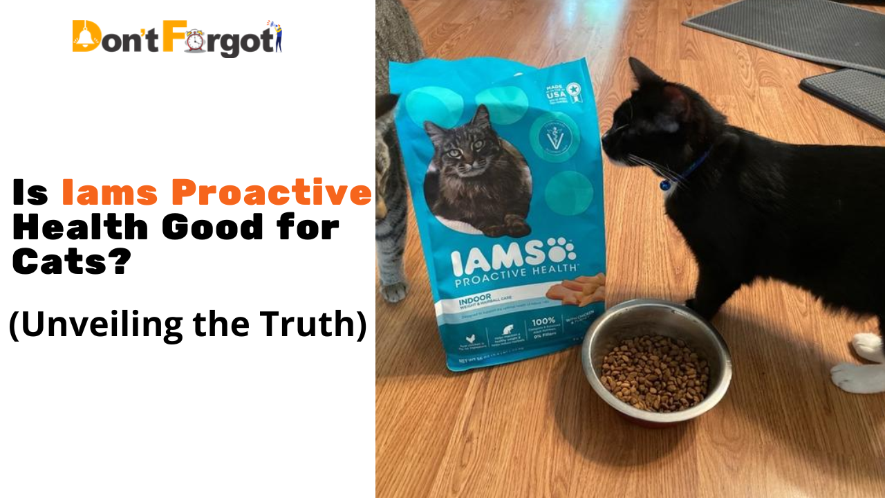 Is Iams Proactive Health Good for Cats