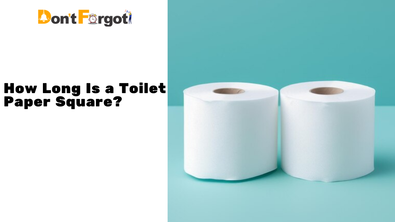 How Long Is a Toilet Paper Square