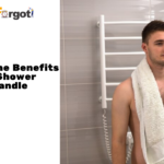 What Are the Benefits of Using a Shower Standing Handle