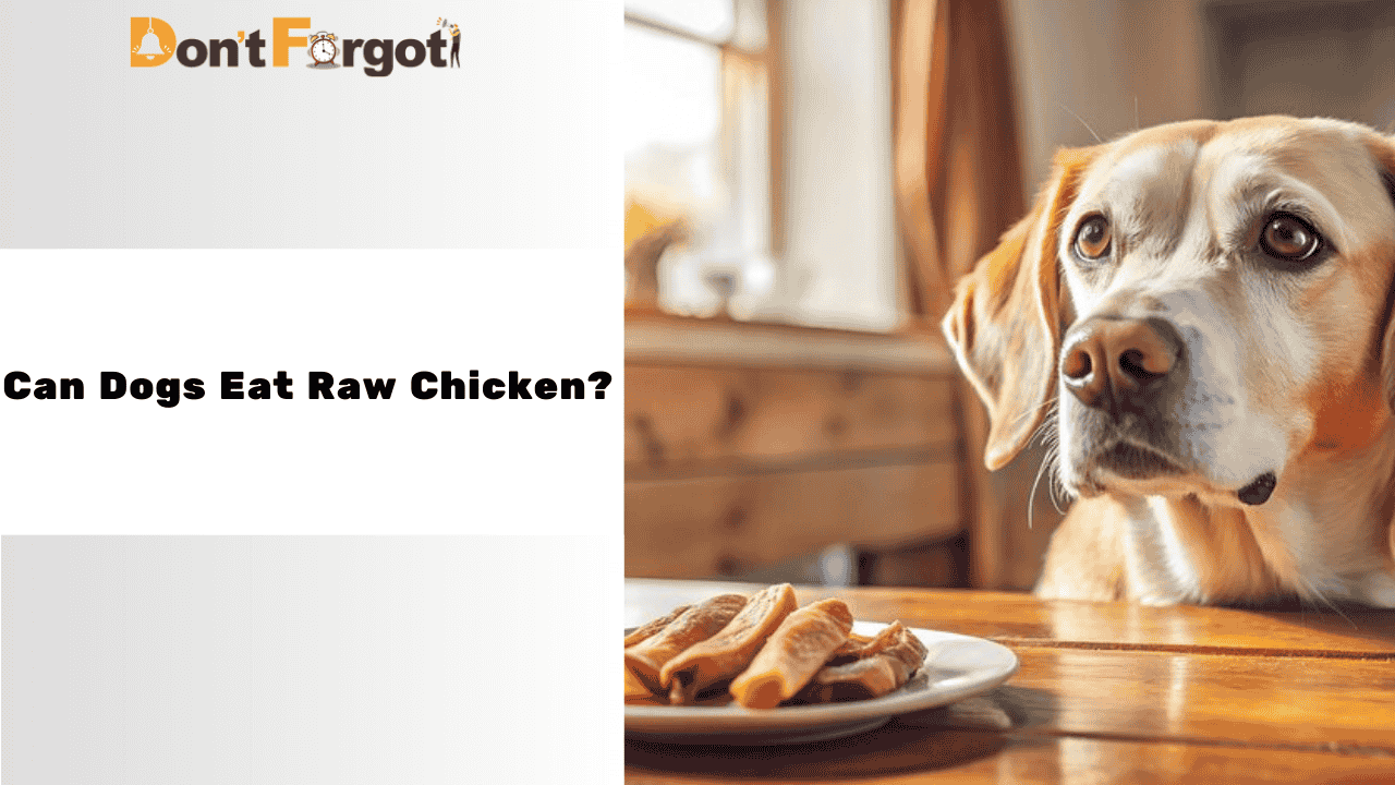 Can Dogs Eat Raw Chicken