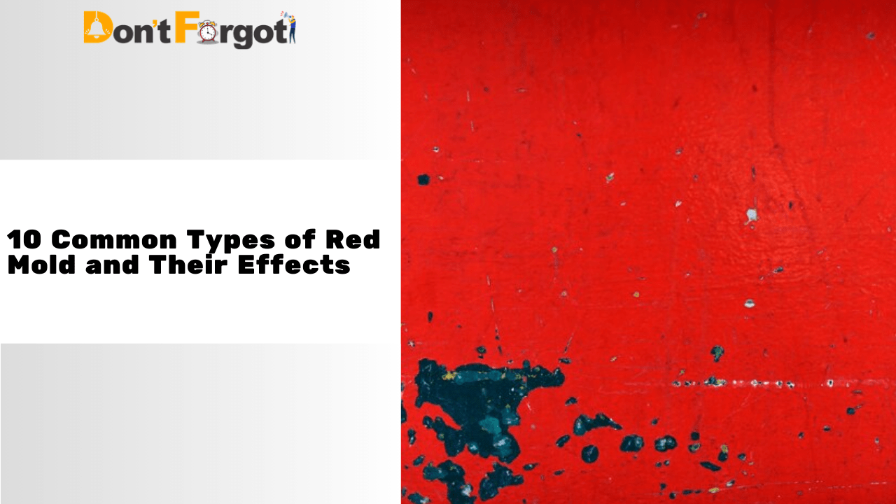 Common Types of Red Mold and Their Effects