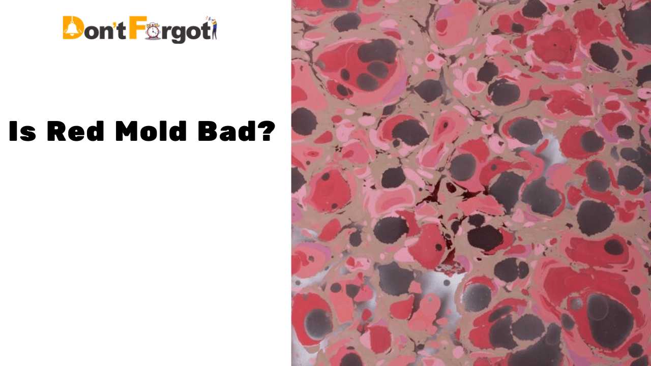 Is Red Mold Bad